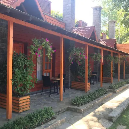 The Swanpark *